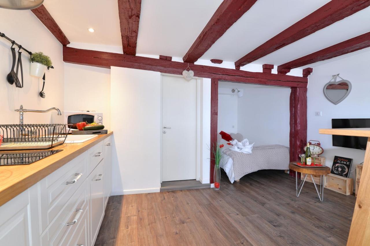 Apartmán La Stub De La Petite Venise Colmar Exteriér fotografie